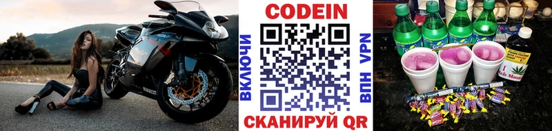 Купить закладки  Курчалой  Кодеин Purple Drank 