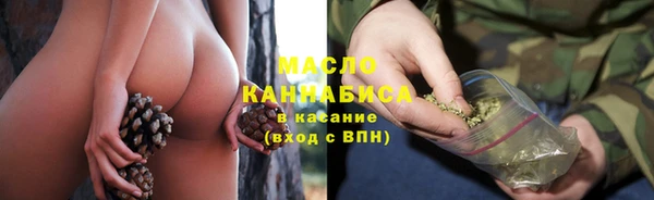 гидропоника Каменка