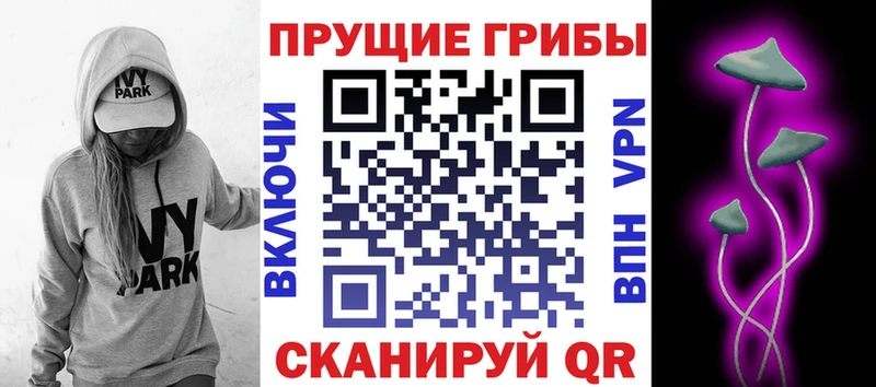 Купить закладки  Курчалой  Псилоцибиновые грибы прущие грибы 